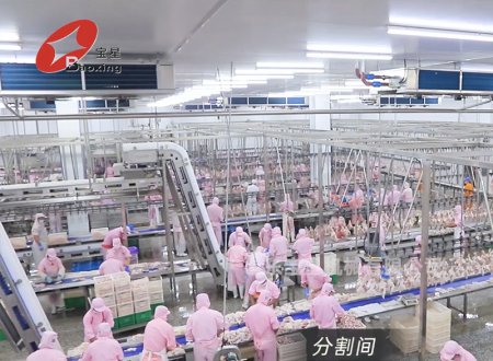山東弘順食品有限公司肉制品一體化深加工項(xiàng)目