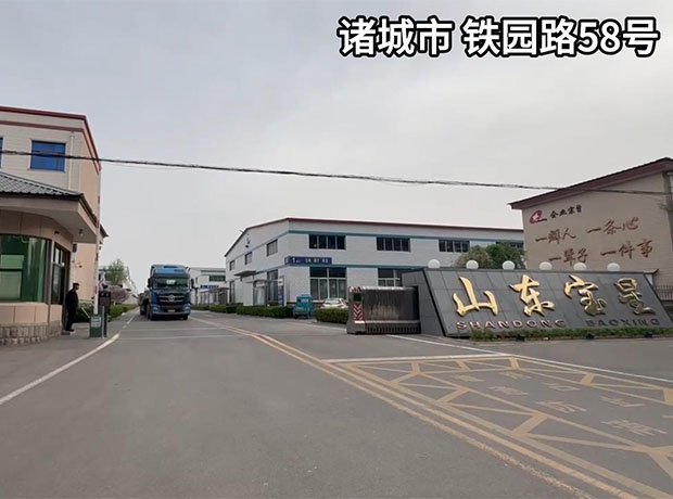 山東寶星機(jī)械有限公司-發(fā)貨現(xiàn)場 